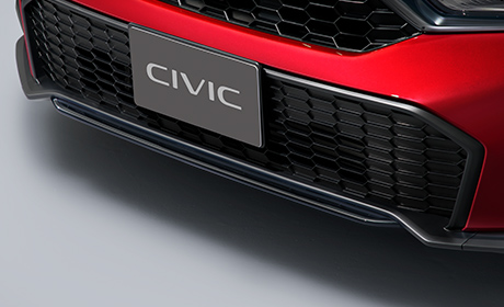 ロアーグリルガーニッシュ