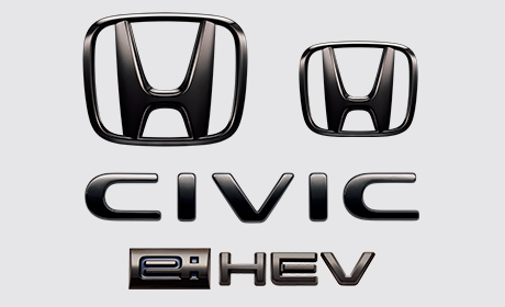 ブラックエンブレム