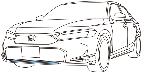 ロアーグリルガーニッシュ