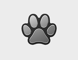 ペットエンブレム（肉球デザイン）