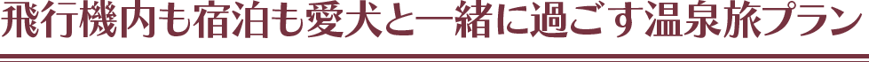飛行機内も宿泊も愛犬と一緒に過ごす温泉旅プラン
