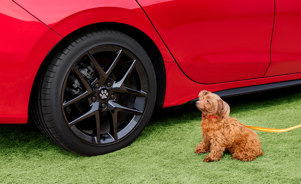 装着したときのイメージ。