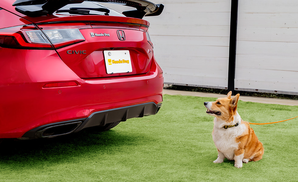 リア左側から見たときのイメージ。