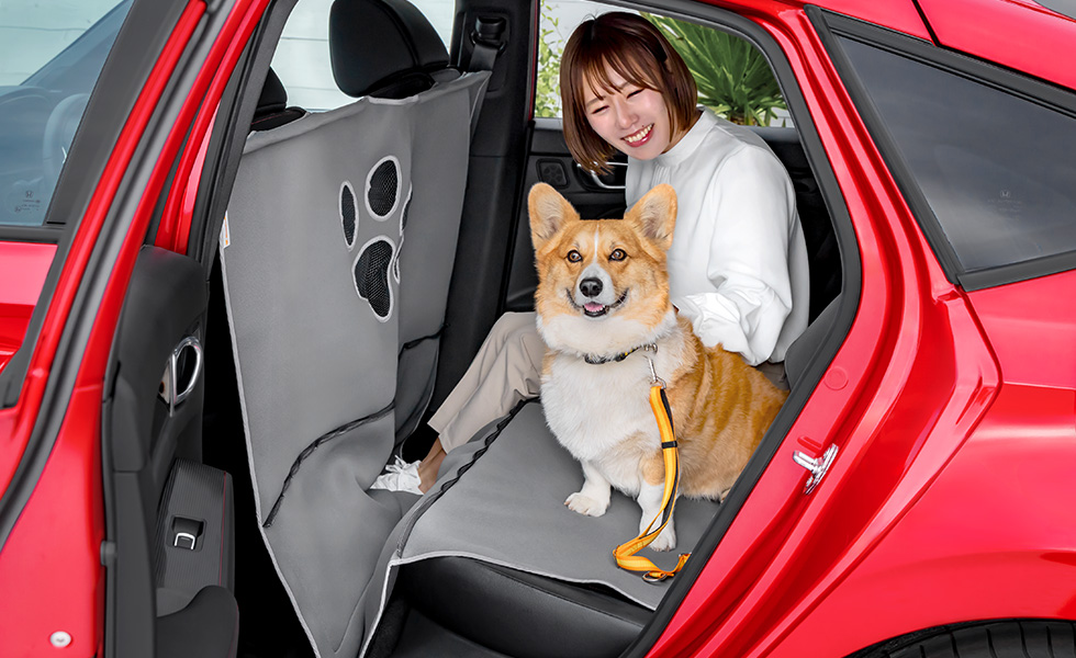 ファスナーを開けて、わんこの隣に座ったときのイメージ。