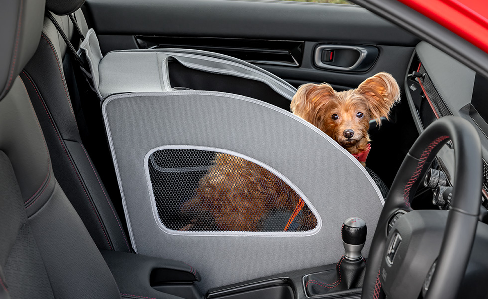 運転席側からのわんこの見え方。