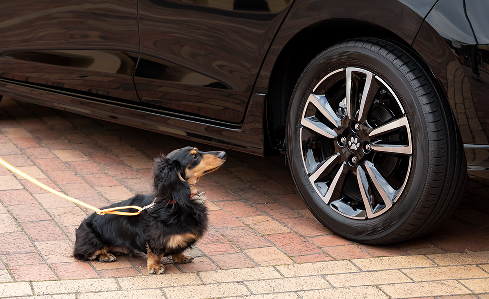 装着したときのイメージ。