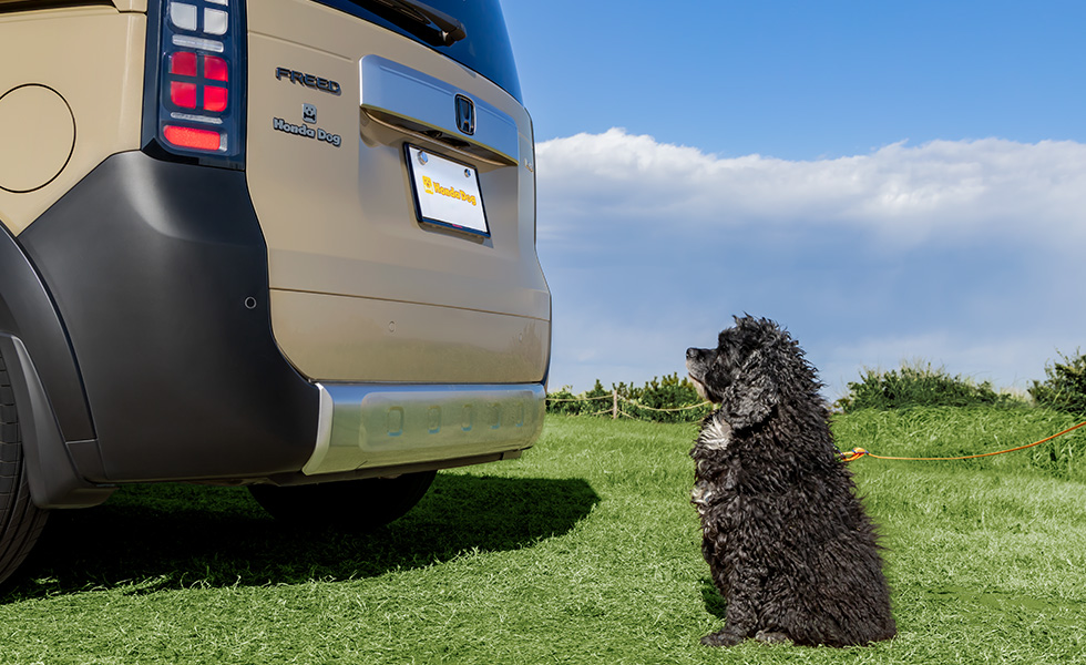 リア左側から見たときのイメージ。