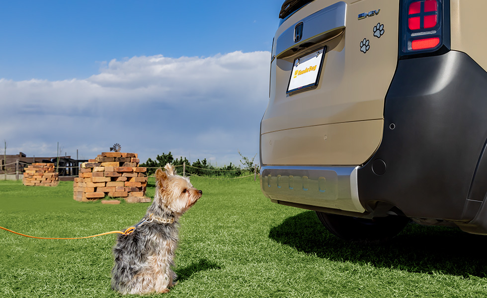 リア右側から見たときのイメージ。