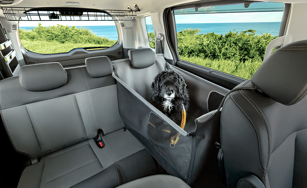 運転席からのわんこの見え方。