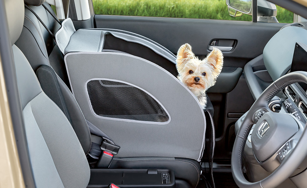 運転席側からのわんこの見え方。