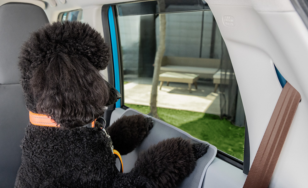 わんこがカバーに足を掛けたときのイメージ。