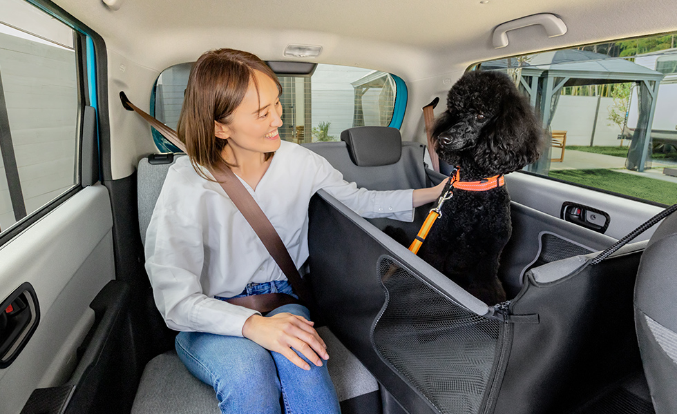 わんこの隣に座ったときのイメージ。