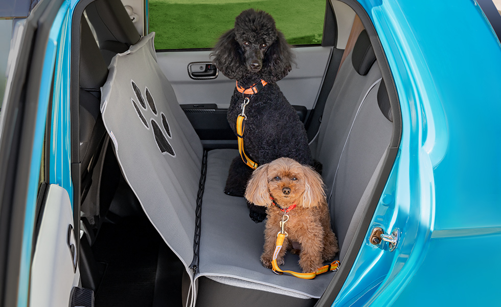 多頭のわんこが乗車したときのイメージ。