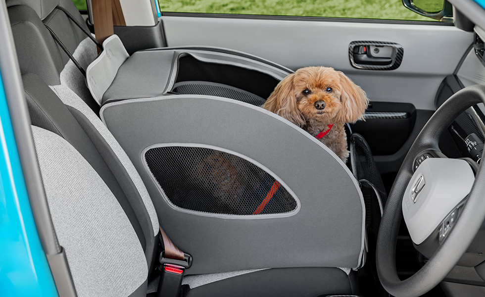 運転席側からのわんこの見え方。