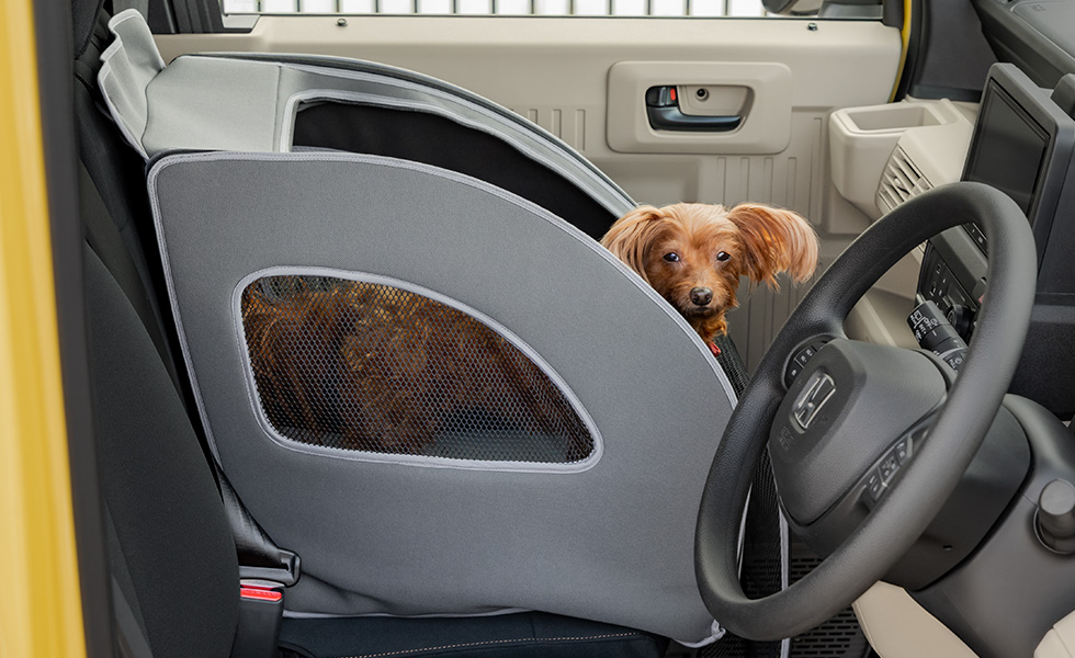 運転席側からのわんこの見え方。