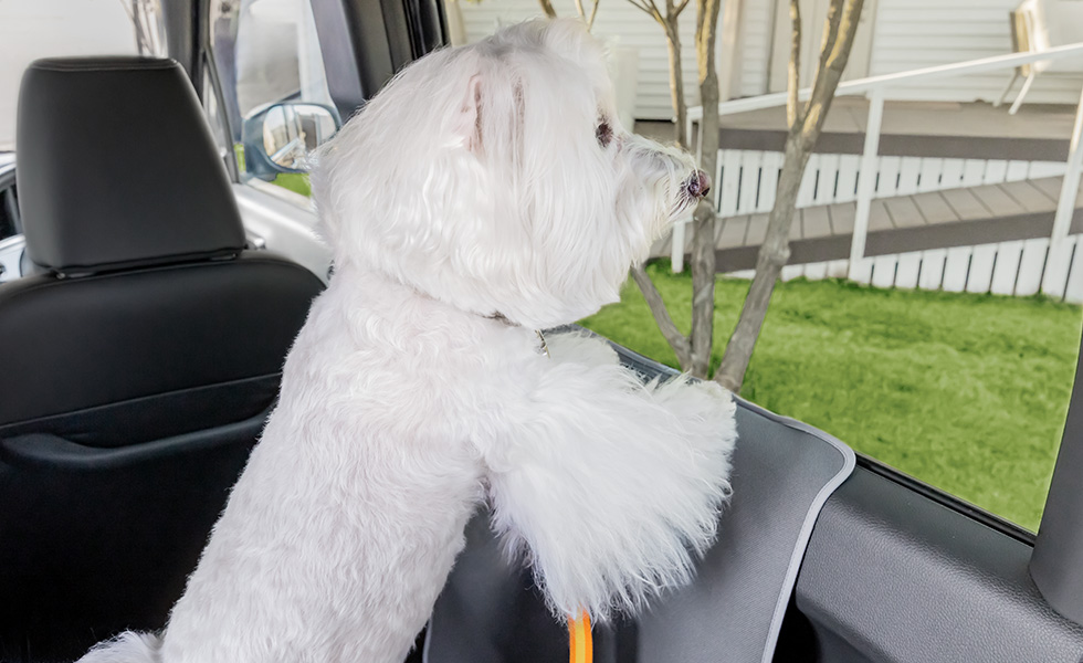 わんこがカバーに足を掛けたときのイメージ。