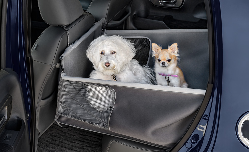 多頭のわんこが乗車したときのイメージ（合計25kgまで）。