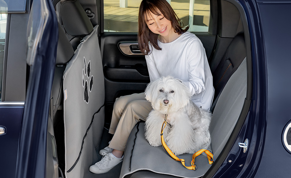 ファスナーを開けて、わんこの隣に座ったときのイメージ。