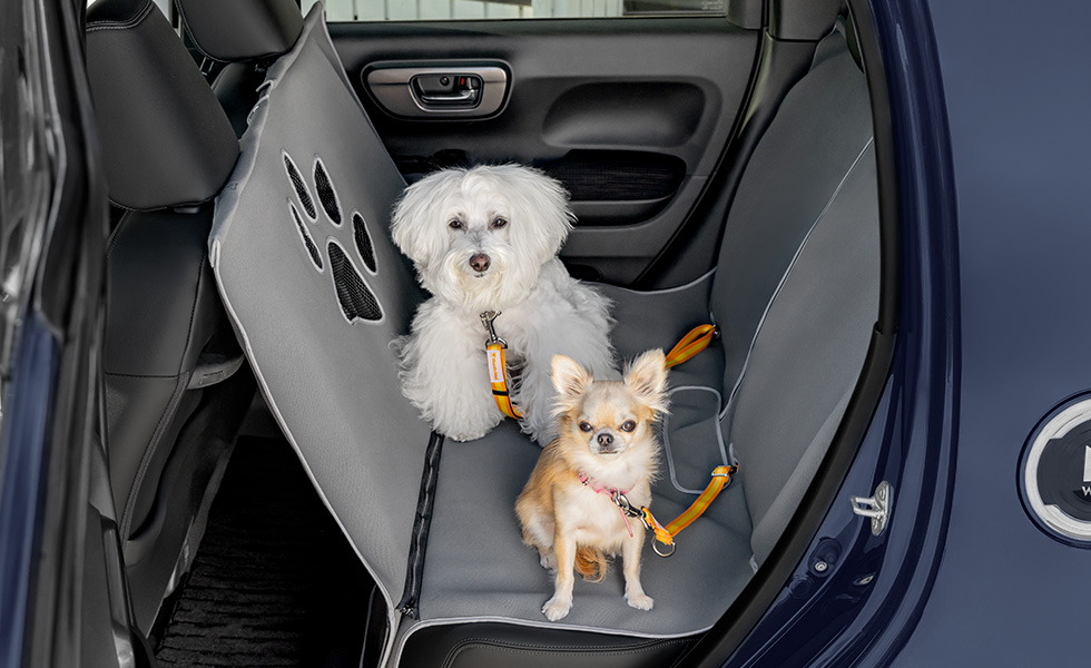 多頭のわんこが乗車したときのイメージ。