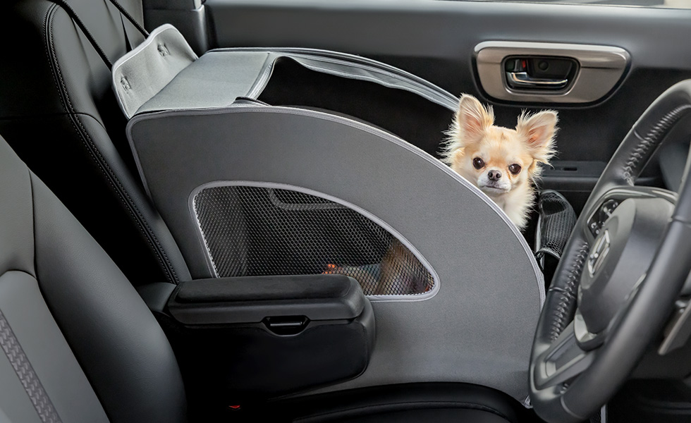 運転席側からのわんこの見え方。