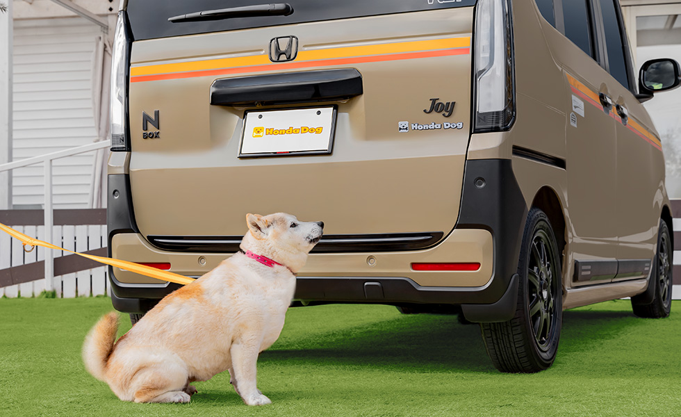 リア右側から見たときのイメージ。