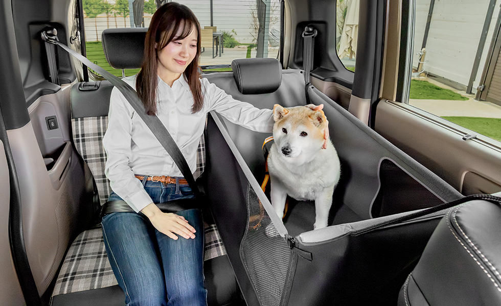 わんこの隣に座ったときのイメージ。