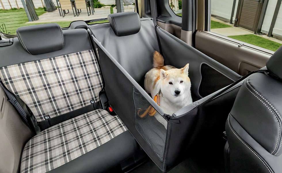 運転席からのわんこの見え方。