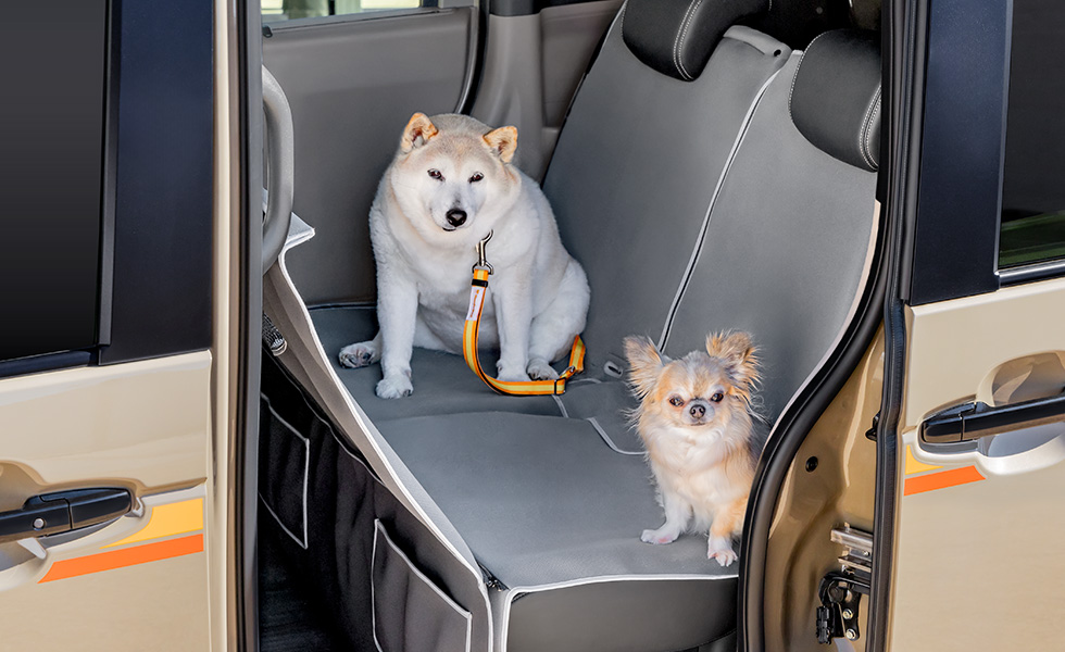 多頭のわんこが乗車したときのイメージ。