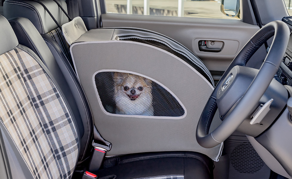 運転席側からのわんこの見え方。