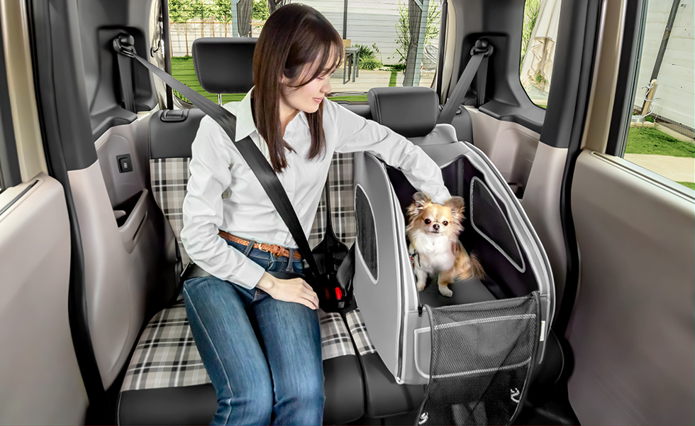 後席でわんこの隣に座ったときのイメージ。