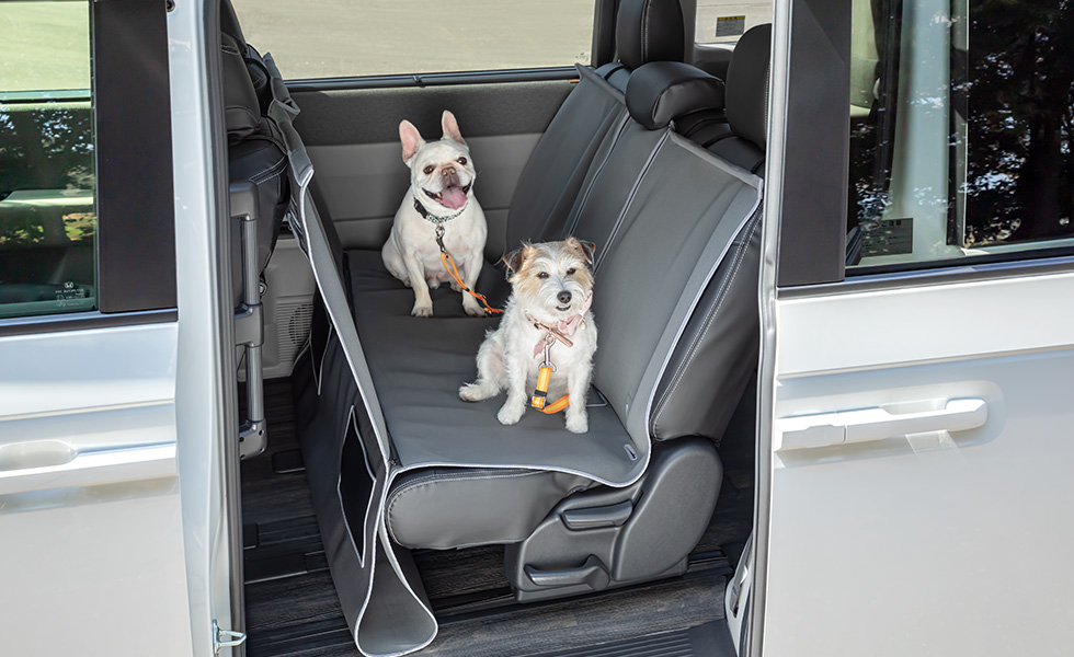 多頭のわんこが乗車したときのイメージ。