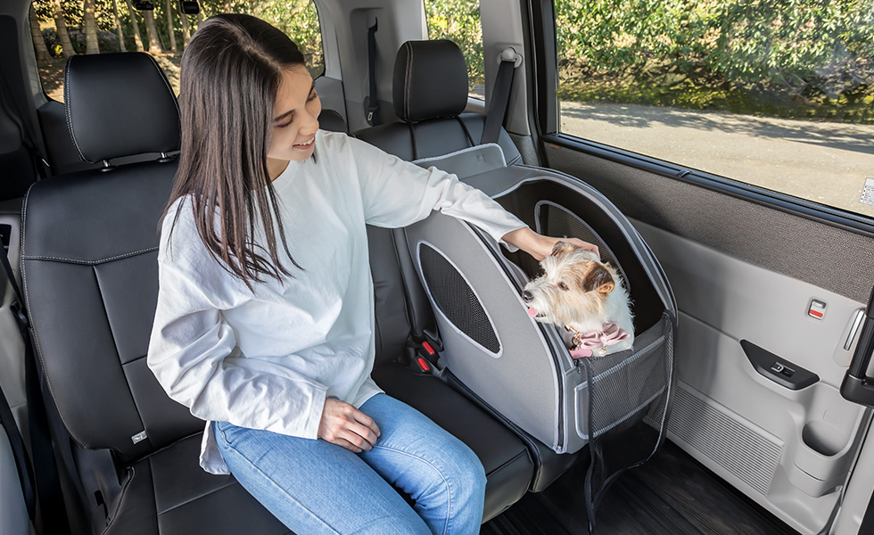 後席でわんこの隣に座ったときのイメージ。