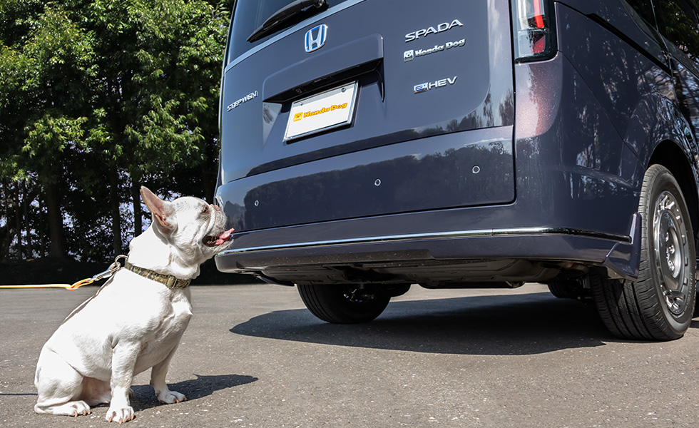 リア右側から見たときのイメージ。