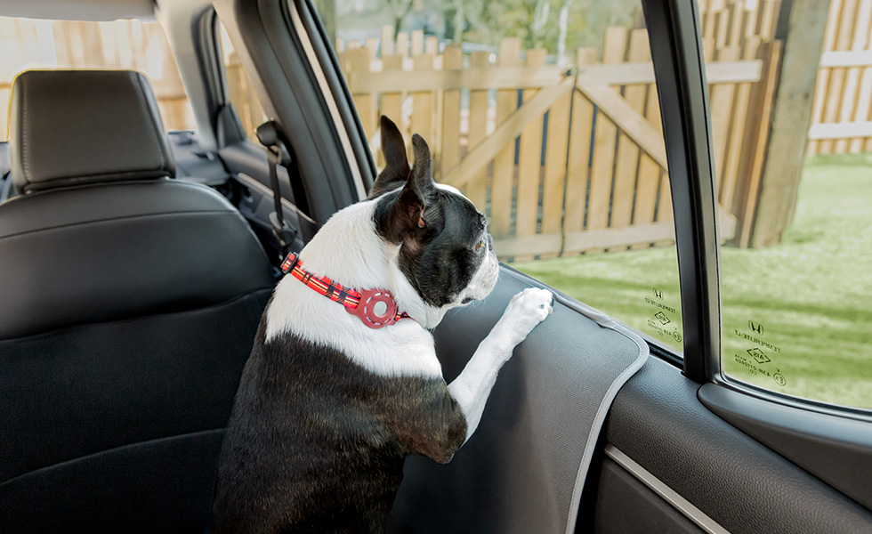 わんこがカバーに足を掛けたときのイメージ。