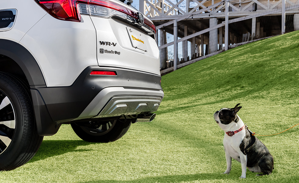 リア左側から見たときのイメージ。