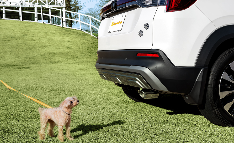 リア右側から見たときのイメージ。