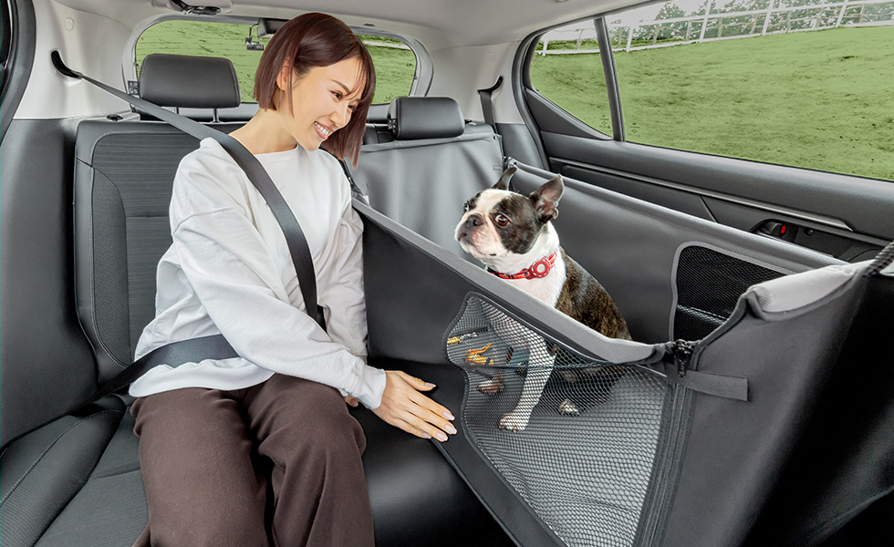 わんこの隣に座ったときのイメージ。