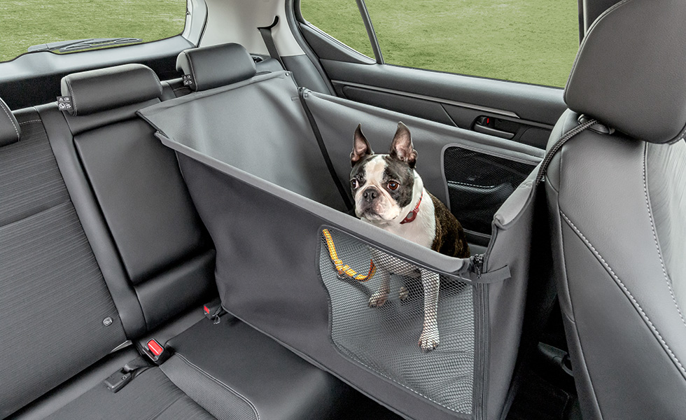 運転席からのわんこの見え方。