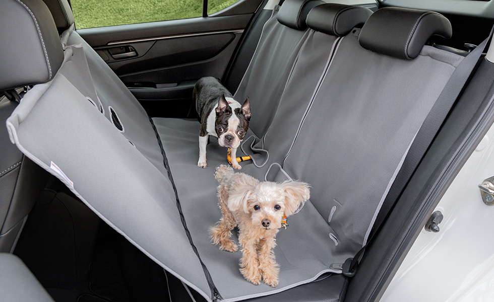 多頭のわんこが乗車したときのイメージ。