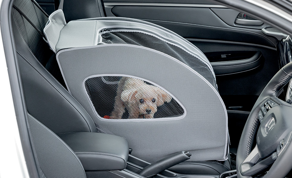 運転席側からのわんこの見え方。