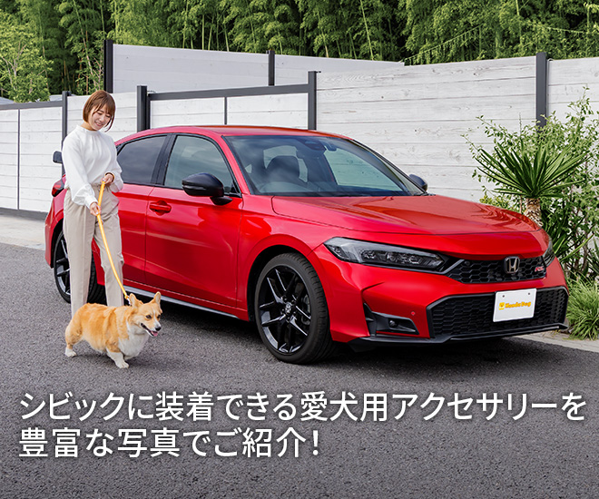 シビックに装着できる愛犬用アクセサリーを豊富な写真でご紹介！