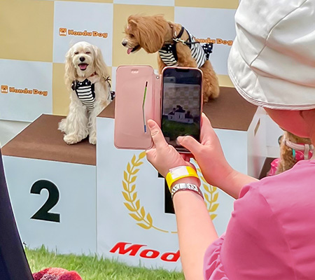 アウトドアドッグフェスタin八ヶ岳