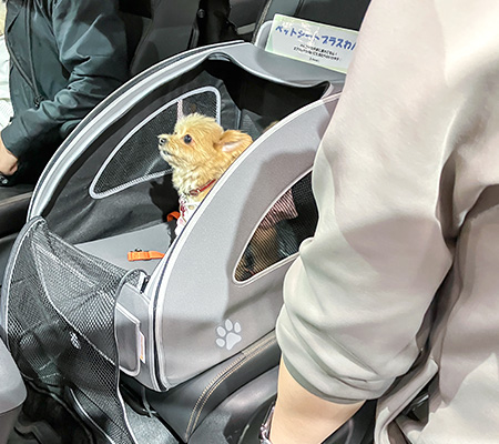 インターペット