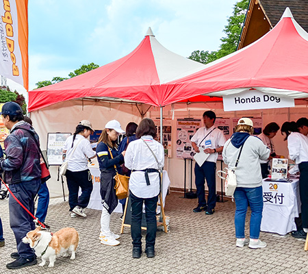 いぬのきもちフェスタ