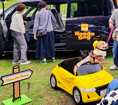 いぬのきもちフェスタ