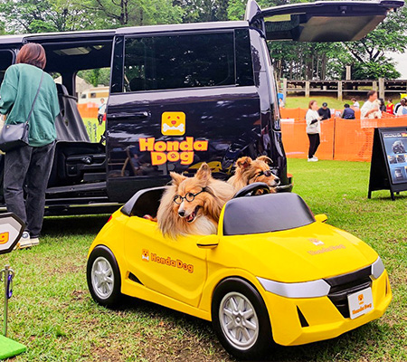 いぬのきもちフェスタ