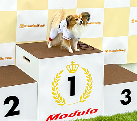 アウトドアドッグフェスタin八ヶ岳