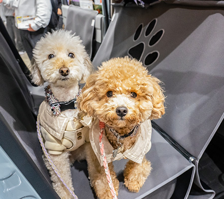 インターペット東京