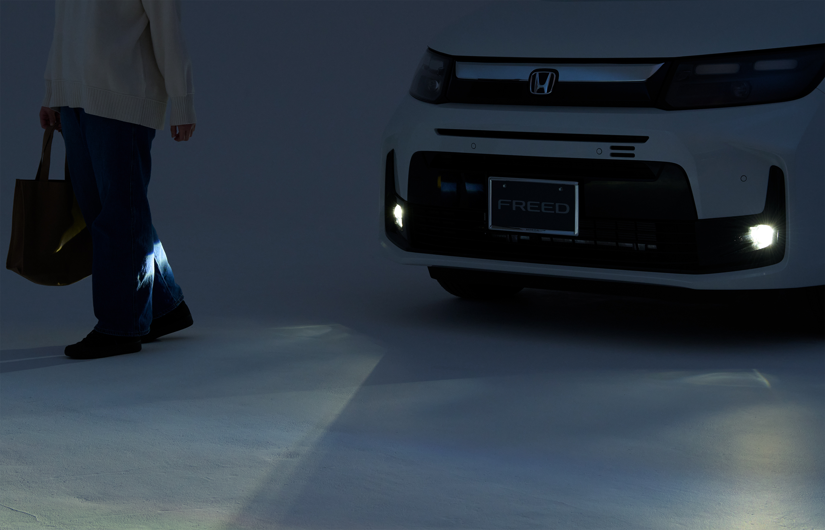 おもてなしフォグライトシステム