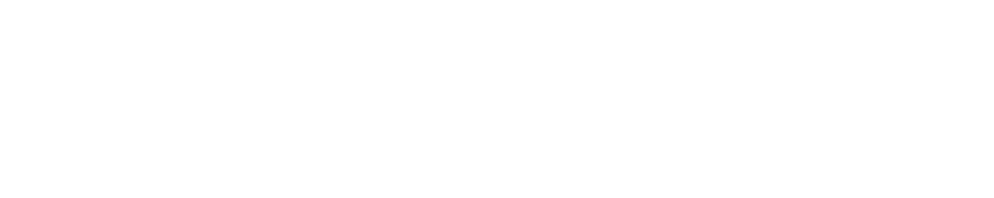 NEW  INSIGHT  Genuine Accessories